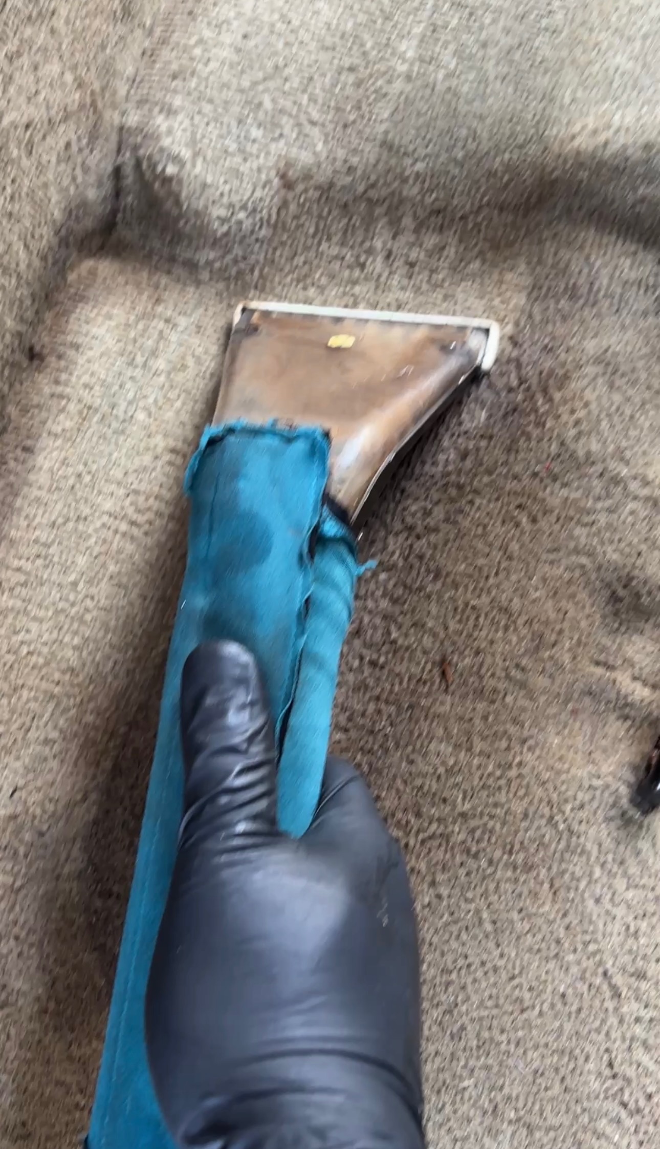 Professional car seat and carpet shampooing with heated extraction in Baton Rouge, LA