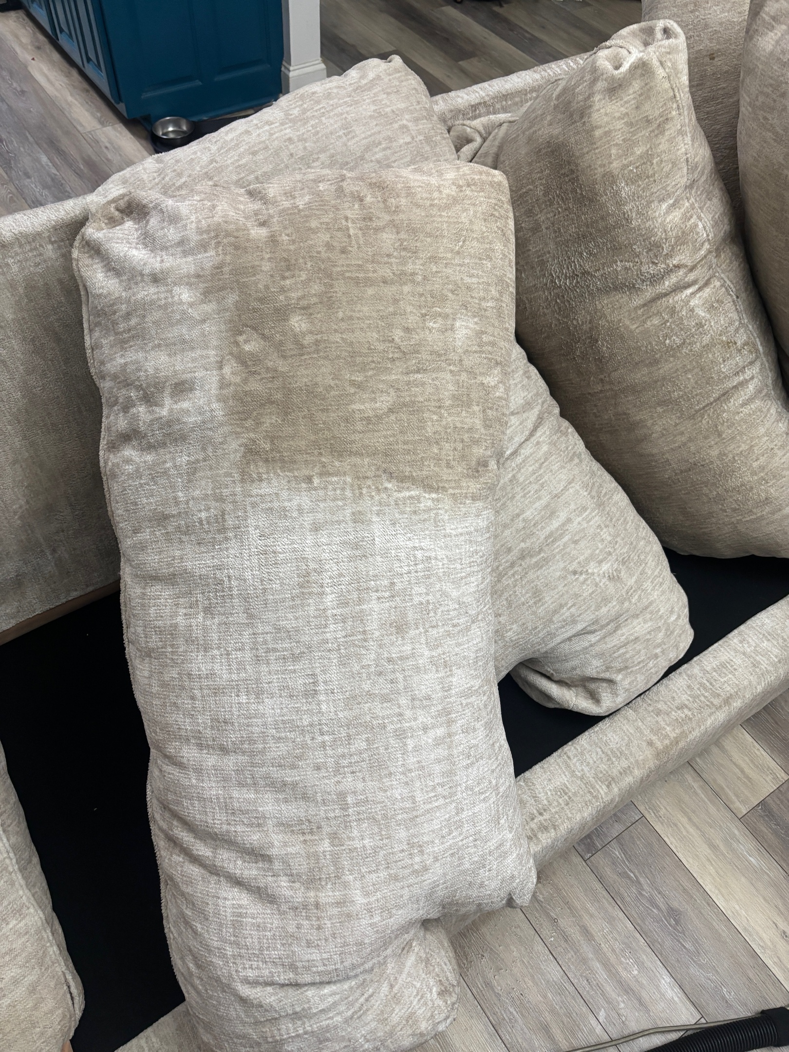 Light-colored sofa cushions before professional furniture and upholstery cleaning