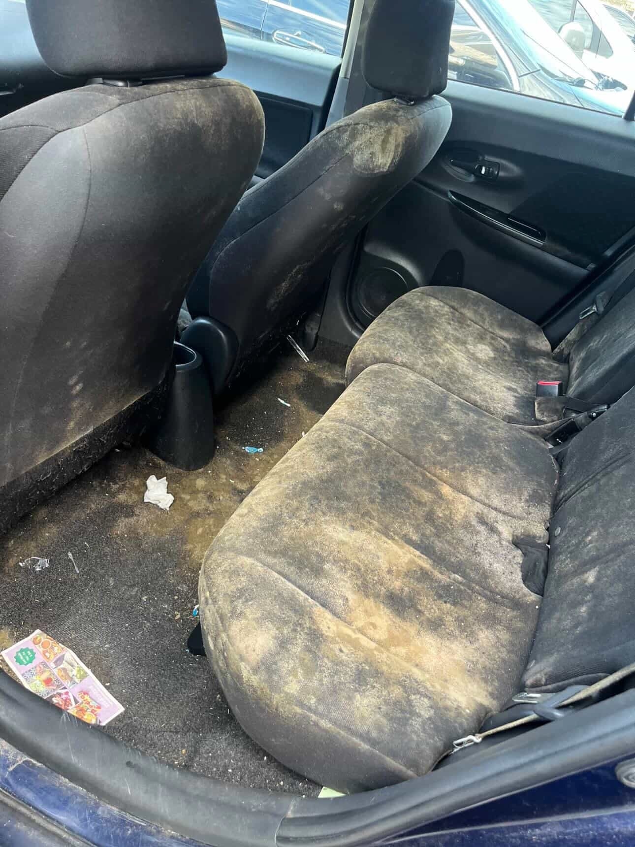 Visible mold contamination inside a vehicle before professional remediation in Baton Rouge, Louisiana