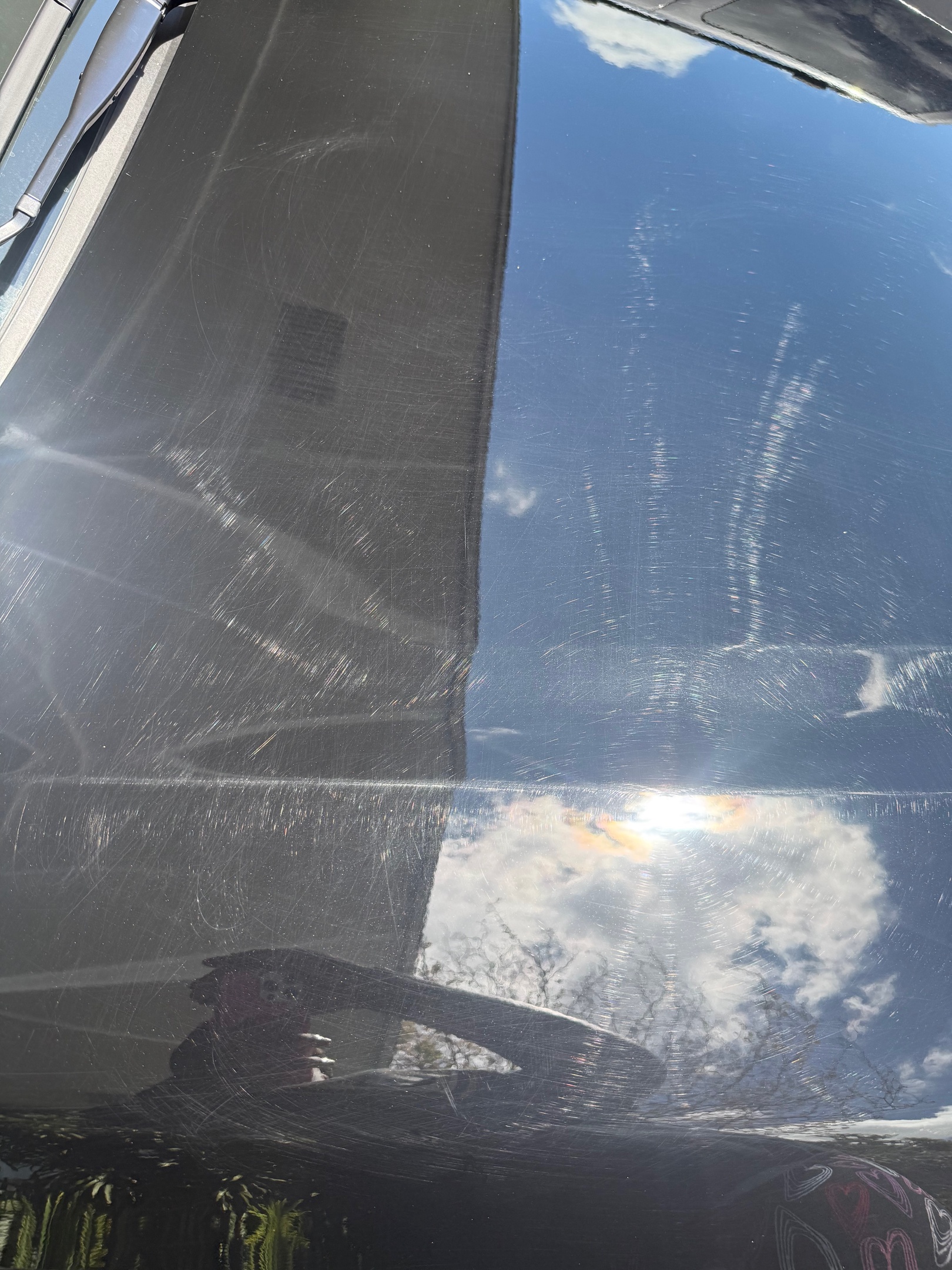 Swirl marks before paint correction in Baton Rouge